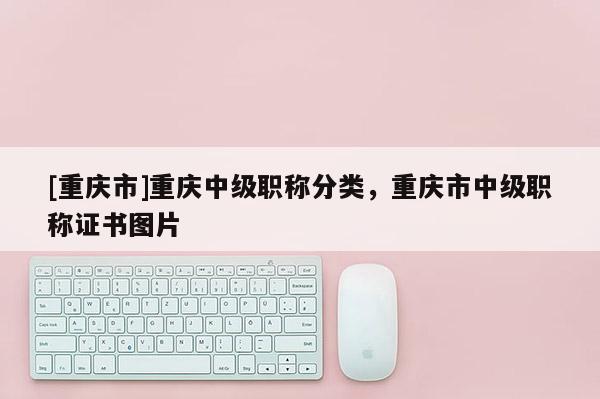 [重慶市]重慶中級職稱分類，重慶市中級職稱證書圖片
